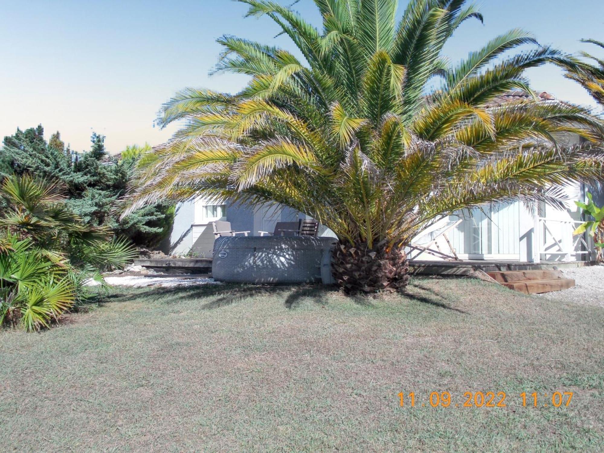 Maison Authentique Avec Spa Pres De Dax Et Son Jardin Villa Angoumé Eksteriør billede